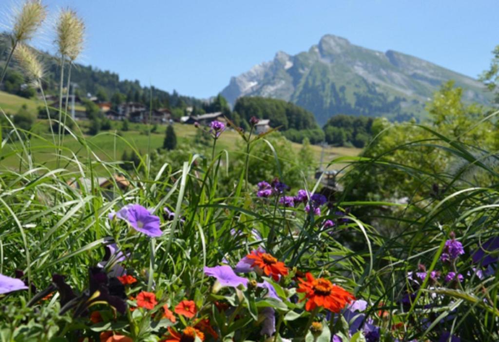 Location D'Appartements - La Residence La Clusaz Exteriör bild