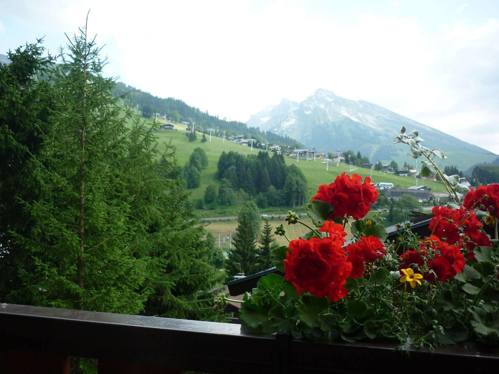 Location D'Appartements - La Residence La Clusaz Exteriör bild